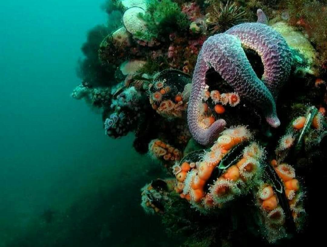 شقة El Tamarisco Puerto Pirámides المظهر الخارجي الصورة